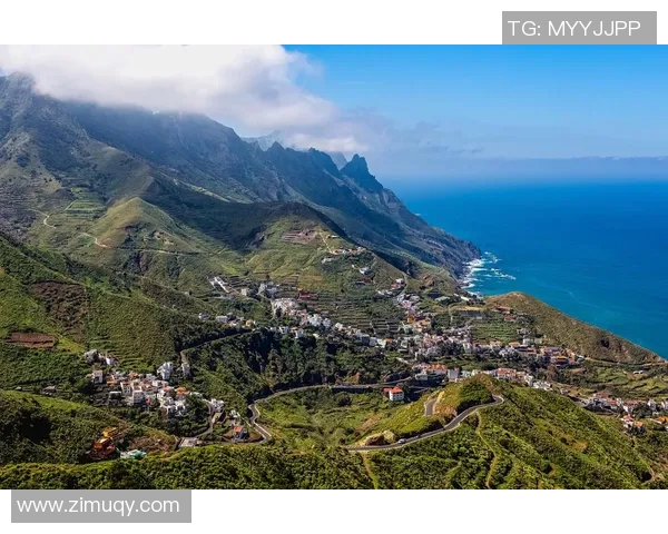 瑞典对秘鲁比赛分析及澳客网投注推荐详解