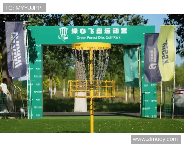 赵强独家分享飞盘技巧与心得体会助你轻松掌握飞盘运动的乐趣与技巧